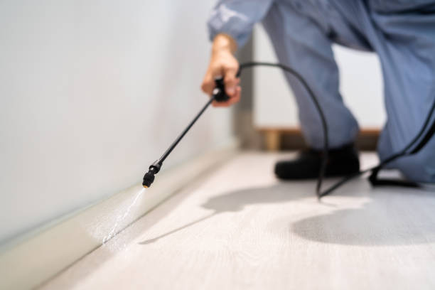 Licensed Cockroach Control service in Hillsboro, MO - Nex Pest Control
