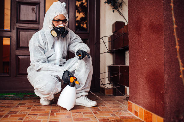 Reliable Cockroach Control contractor in Hillsboro, MO by Nex Pest Control